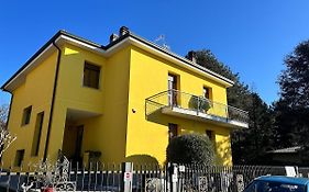 Simona Francshouse